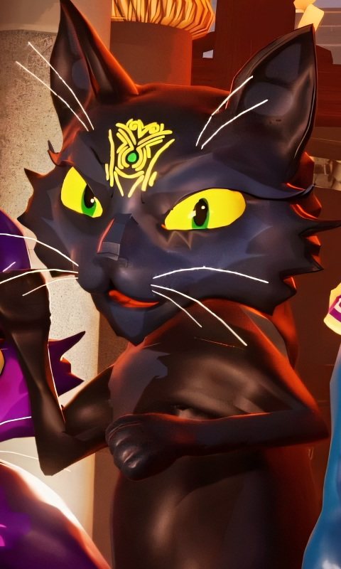 The Shadow Cat